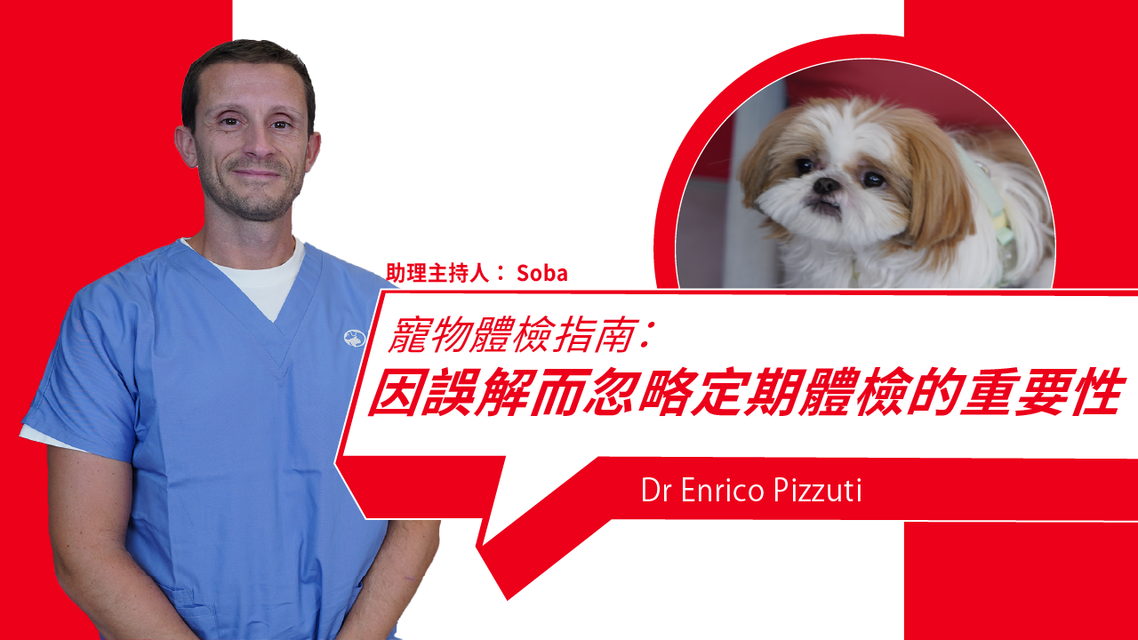 Understanding Pet Health: Common Misconceptions & Why Regular Checkups Matter